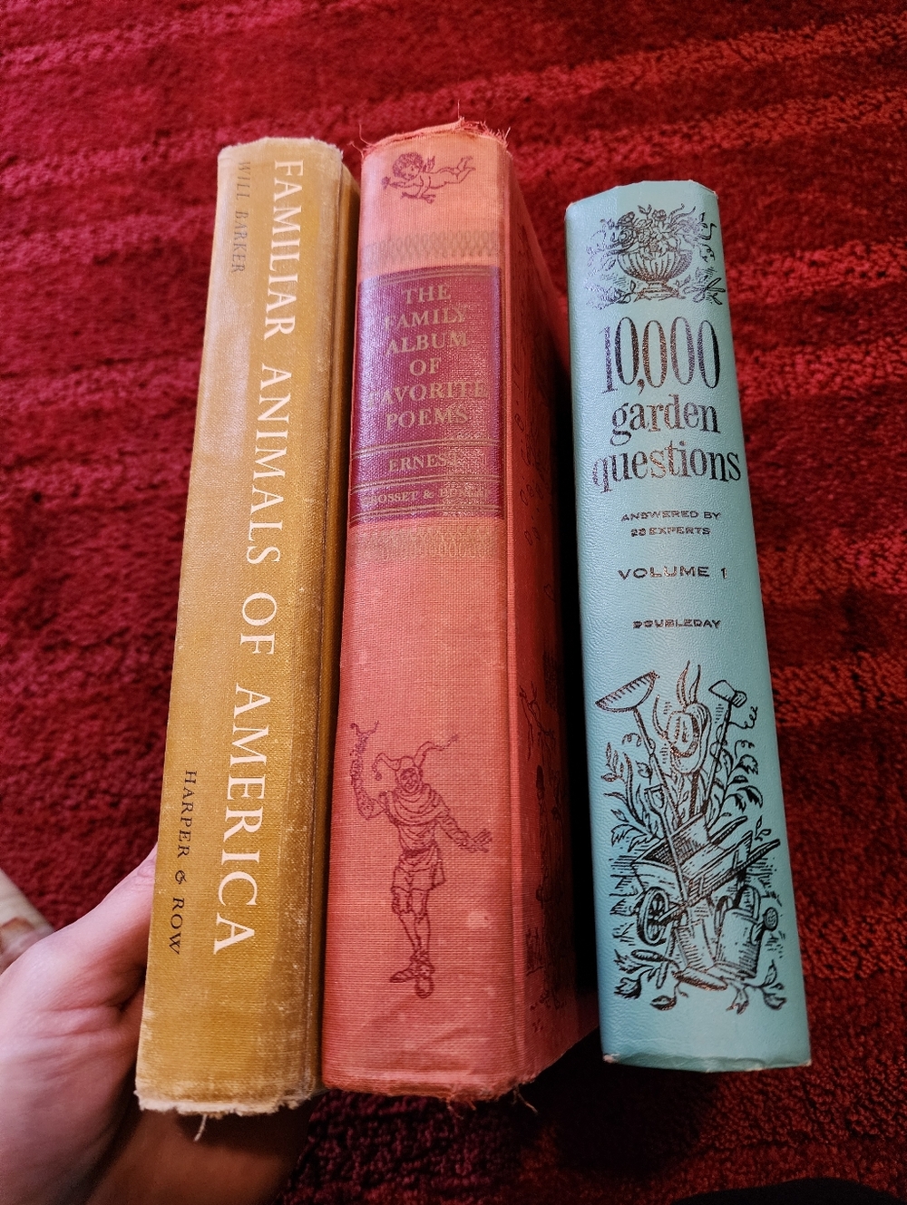 Vintage Antique Books - Blue, Yellow, Red